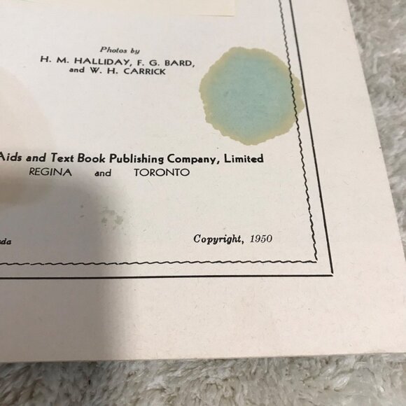 Shore Birds 1950 Book By H.M. Halliday F.G. Bard & W.H. Carrick  School Aids Tex - Picture 4 of 4